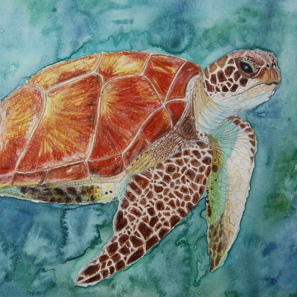 Sea Turtle Giclée Art Print Watercolor Painting Ocean Beach Tropical Sea-life - Picture 9 of 9